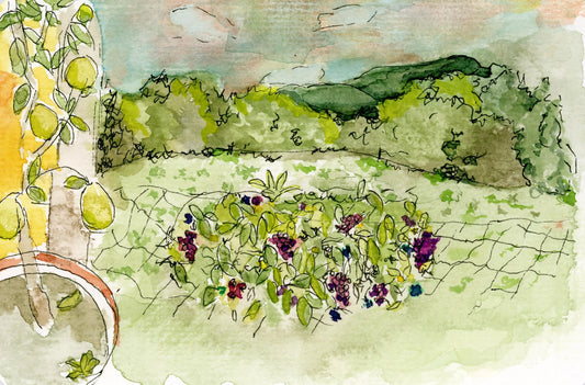 Austrian Countryside Watercolor Art Print